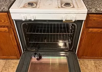 House Cleaning Services